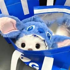 Ryan Agoncillo avatar